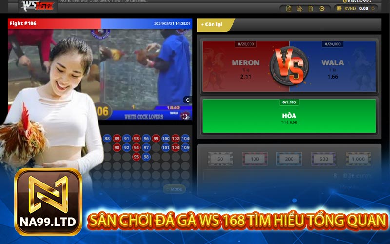 san choi da ga ws 168 tim hieu tong quan